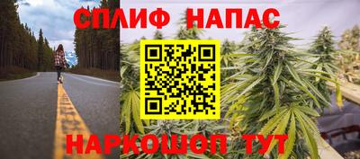 сатива Заволжье