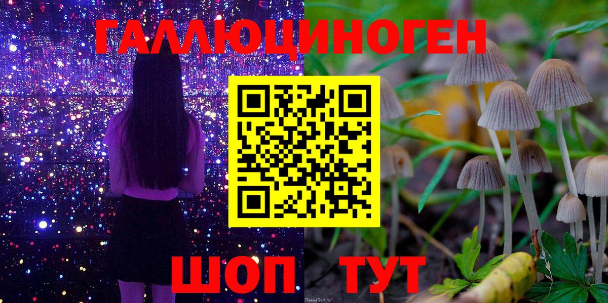 Псилоцибиновые грибы мухоморы  Псилоцибиновые грибы мицелий  Лосино-Петровский  Вход с VPN 